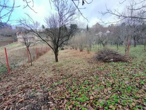 Prodaja, plac, 1000m², Sremska Kamenica, Petrovaradin - image 3