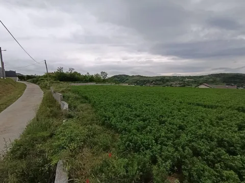 Prodaja, plac, 1100m², Beočin, Srbija - image 20