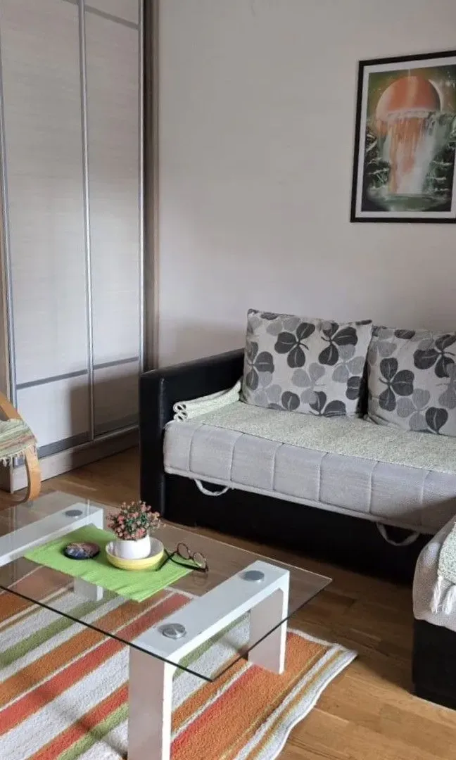 Rent, studio apartment, 33m², City Kvart, Podgorica