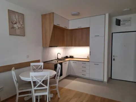 Izdavanje, jednosoban stan, 47m², Stari Aerodrom, Podgorica - image 2