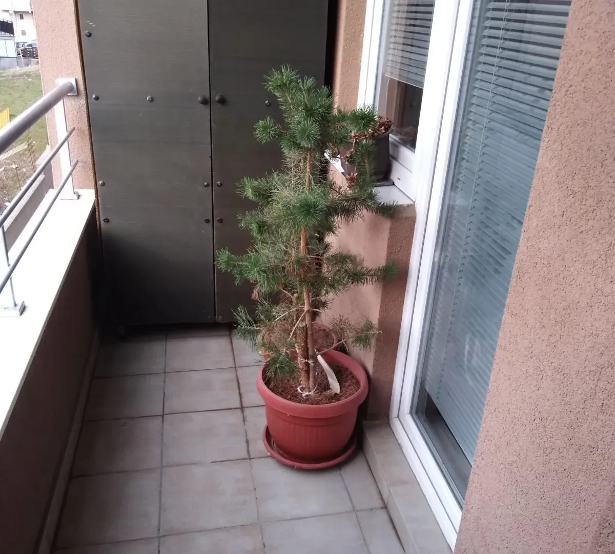 Rent, one bedroom apartment, 38m², Zvezdara Sve Podlokacije, Beograd