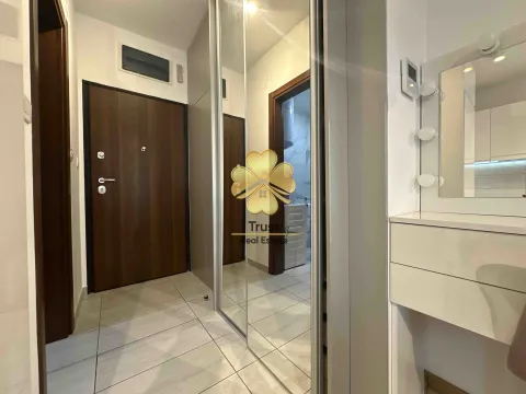 Izdavanje, garsonjera, 30m², Ljubović, Podgorica - image 7