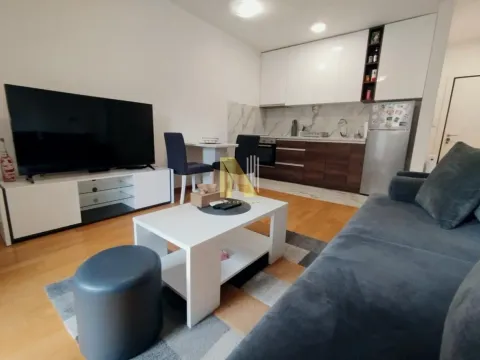 Izdavanje, dvosoban stan, 44m², Novo naselje, Novi Sad - image 3