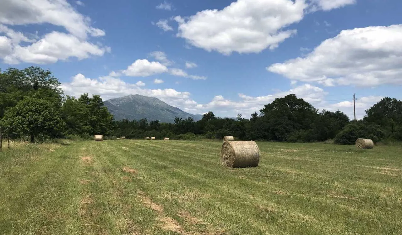 Prodaja, plac, 9609m², Danilovgrad, Crna Gora