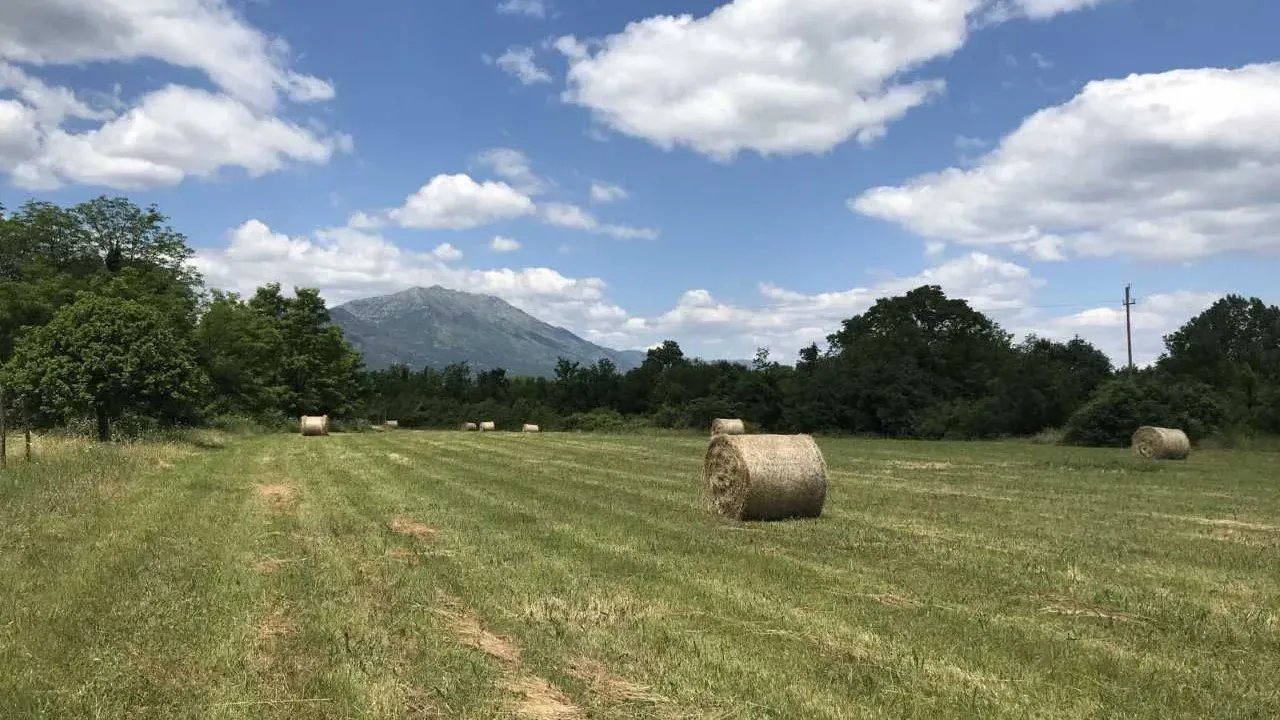 Prodaja, plac, 9609m², Danilovgrad, Crna Gora