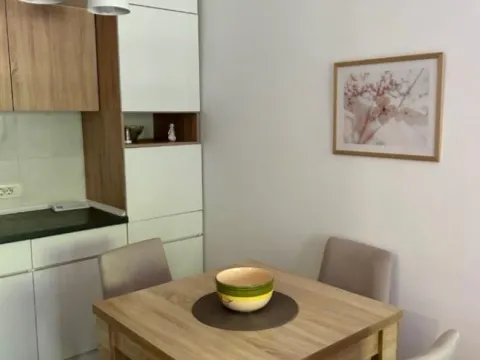 Izdavanje, jednosoban stan, 38m², Blok 5, Podgorica - image 9