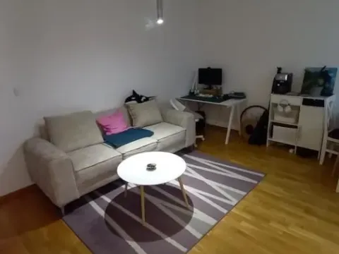 Izdavanje, jednosoban stan, 41m², Telep, Novi Sad Sve Podlokacije - image 2