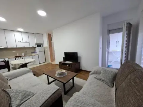 Izdavanje, jednosoban stan, 47m², Zabjelo, Podgorica - image 5