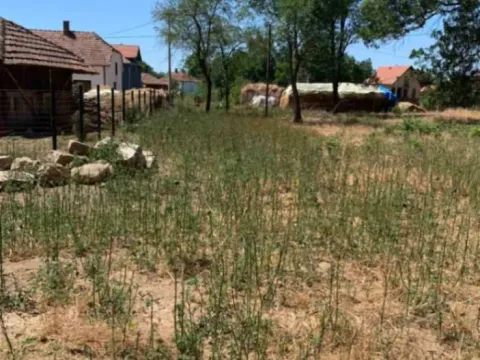 Prodaja, plac, 4730m², Mladenovac, Beograd - image 6