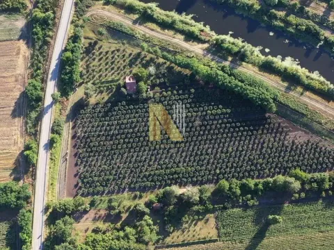 Sale, land lot, 190m², Kikinda, Srbija - image 3