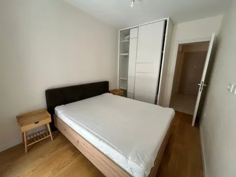 Izdavanje, jednosoban stan, 47m², Central Point, Podgorica - image 9