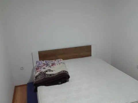 Sale, house, 214m², Veternik, Novi Sad Sve Podlokacije - image 7