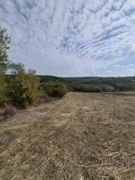 Pogled na prostranu livadu i zeleno rastinje. - image 3