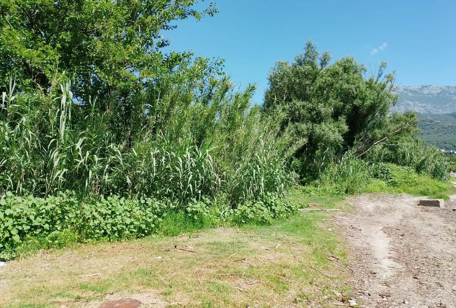 Prodaja, plac, 600m², Igalo, Herceg Novi
