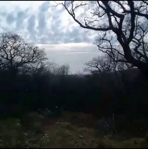 Sale, land lot, 13000m², Centar, Bar