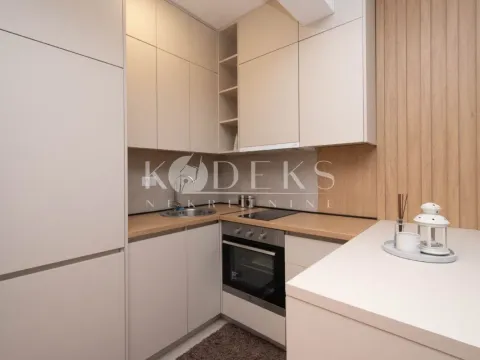 Izdavanje, garsonjera, 26m², Zagorič, Podgorica - image 2