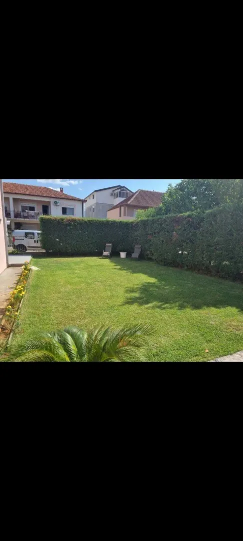 A well-kept yard with a green lawn and a tall hedge.