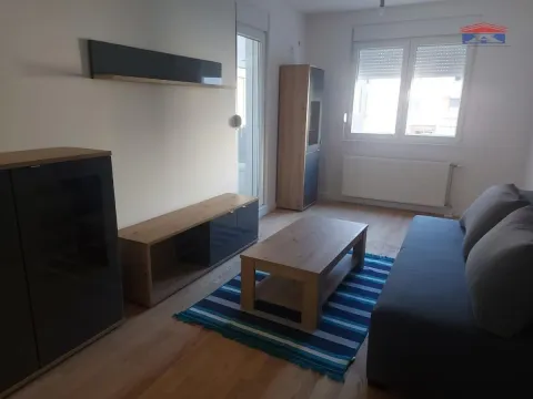 Izdavanje, jednosoban stan, 41m², Telep, Novi Sad Sve Podlokacije - image 2