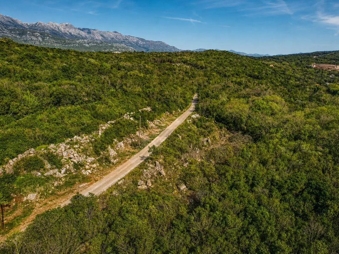 Pogled iz vazduha na šumoviti pejzaž sa putem i planinama u pozadini.