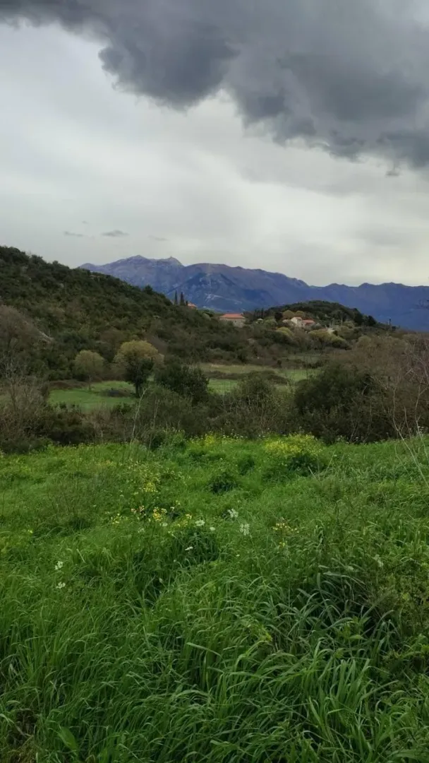 Pogled na zeleno imanje i brda u daljini.