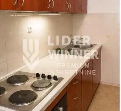 Sale, two bedroom apartment, 48m², Vračar Centar, Vračar Sve Podlokacije - image 4