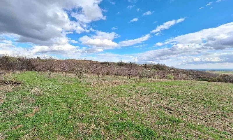 Prodaja, plac, 11894m², Banja Vrdnik, Irig