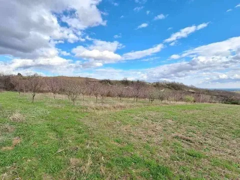 Sale, land lot, 11894m², Banja Vrdnik, Irig - image 2