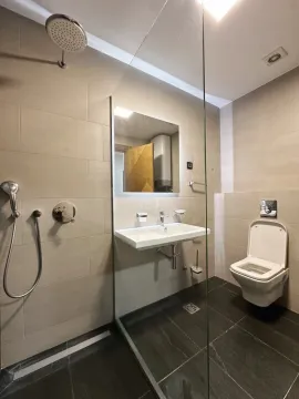 Modern bathroom with a walk-in shower, washbasin, and toilet. - image 6