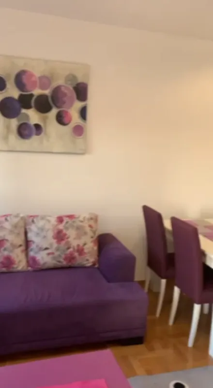 Rent, one bedroom apartment, 45m², Konik, Podgorica