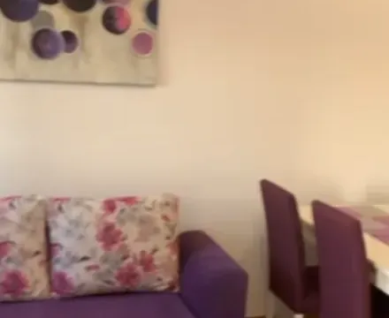 Rent, one bedroom apartment, 45m², Konik, Podgorica - image 3