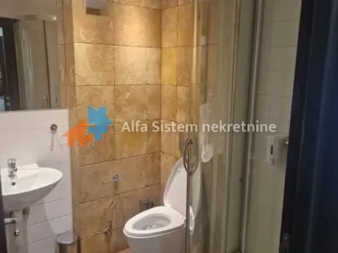 Rent, four bedroom apartment, 172m², Savski Venac, Beograd - image 5