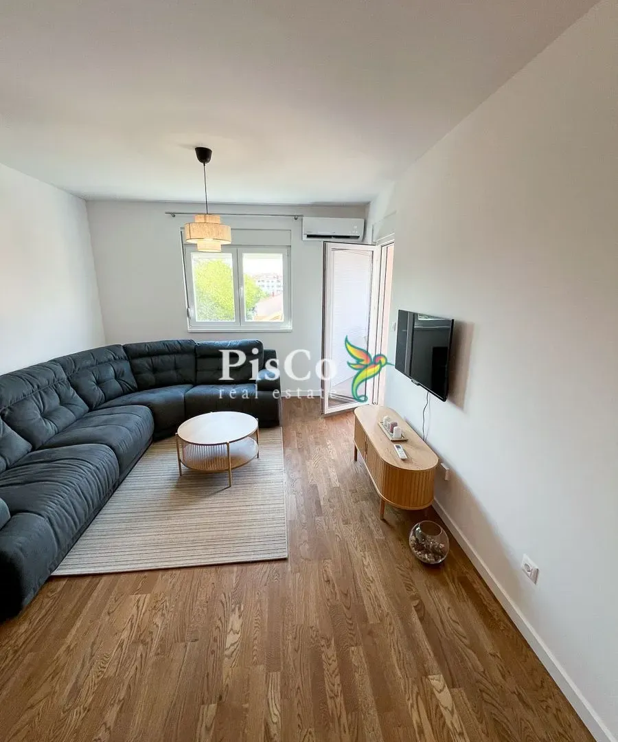 Rent, one bedroom apartment, 47m², Stari Aerodrom, Podgorica