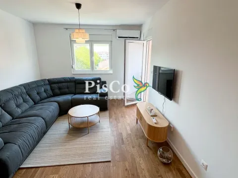 Izdavanje, jednosoban stan, 47m², Stari Aerodrom, Podgorica - image 6