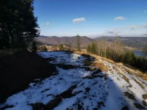 Sale, land lot, 4390m², Tara, Srbija - image 12