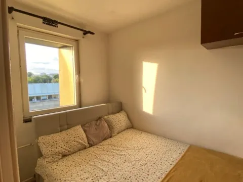 Prodaja, dvosoban stan, 60m², Šumice, Beograd - image 6