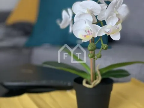 Izdavanje, dvosoban stan, 41m², Stari Grad, Beograd - image 4