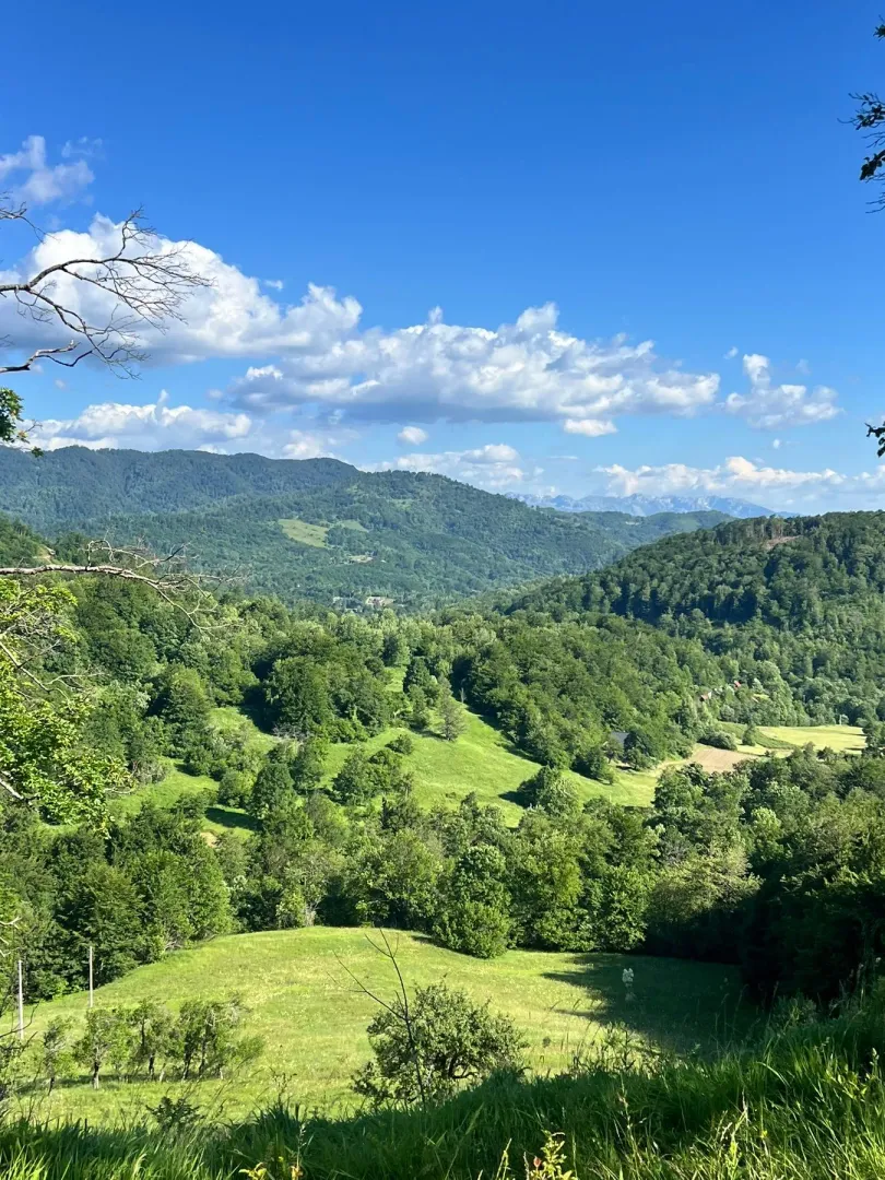 Prodaja, plac, 225105m², Raško, Kolašin