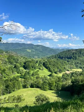 Prodaja, plac, 225105m², Raško, Kolašin - image 1