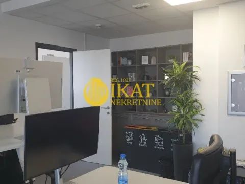 Izdavanje, poslovni prostor, 289m², Tašmajdan, Palilula Sve Podlokacije - image 8