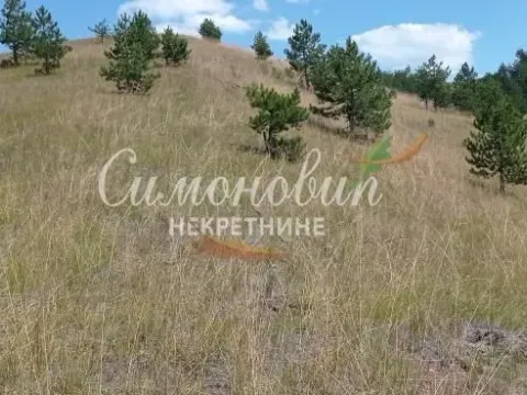 Sale, land lot, 212100m², Divčibare, Valjevo - image 9