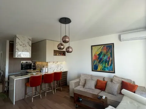 Izdavanje, dvosoban stan, 55m², Vračar Hram, Vračar Sve Podlokacije - image 5