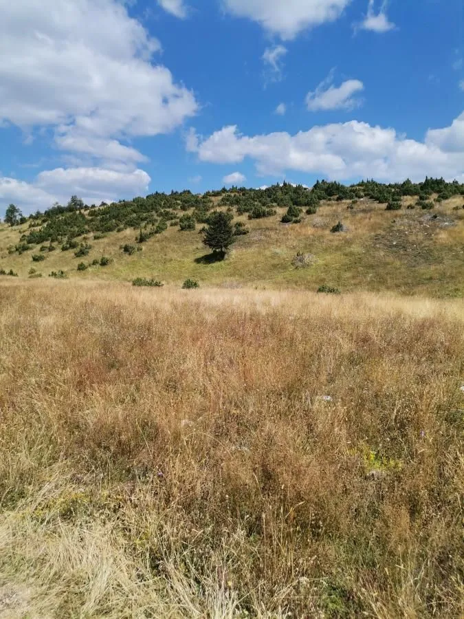 Prodaja, plac, 35800m², Žabljak, Crna Gora