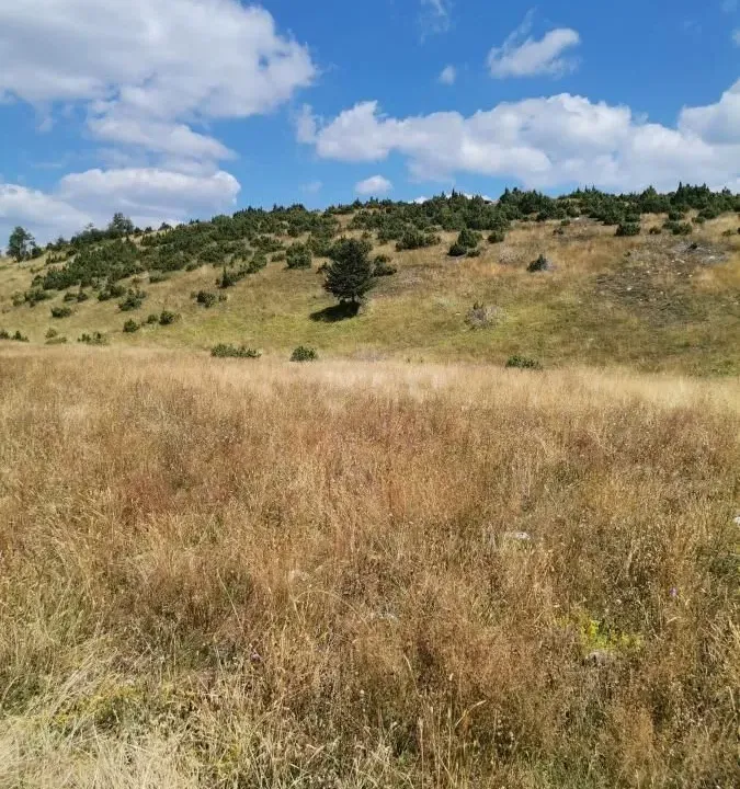 Prodaja, plac, 35800m², Žabljak, Crna Gora