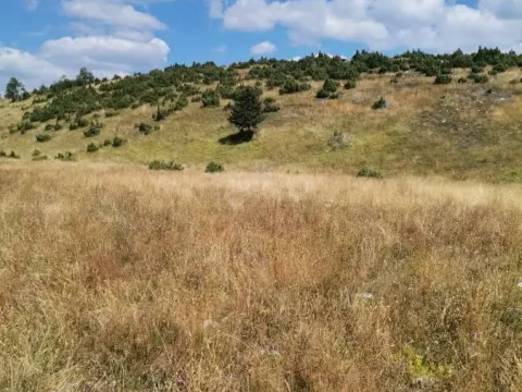 Prodaja, plac, 35800m², Žabljak, Crna Gora