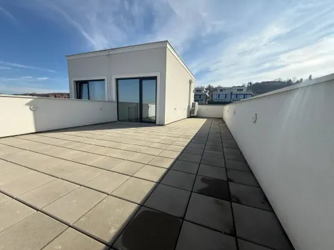 Rent, house, 180m², Sremska Kamenica, Petrovaradin - image 30