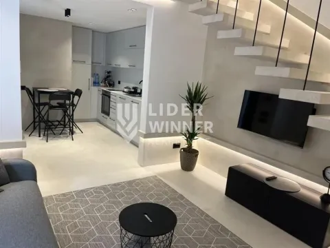 Izdavanje, kuća, 48m², Vračar Sve Podlokacije, Beograd - image 2