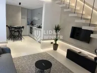 Rent, house, 48m², Crveni Krst, Beograd - image 2