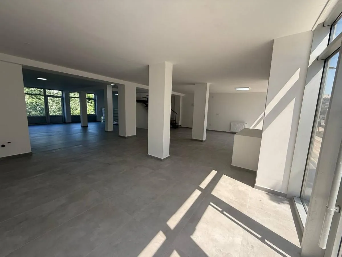 Rent, office space, 349m², Bulevar patrijarha Pavla, Novi Sad Sve Podlokacije
