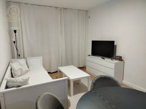 Izdavanje, garsonjera, 29m², Nova Detelinara, Novi Sad Sve Podlokacije - image 4