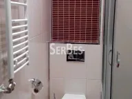 Rent, one bedroom apartment, 33m², Bulevar Oslobodjenja, Novi Sad Sve Podlokacije - image 12